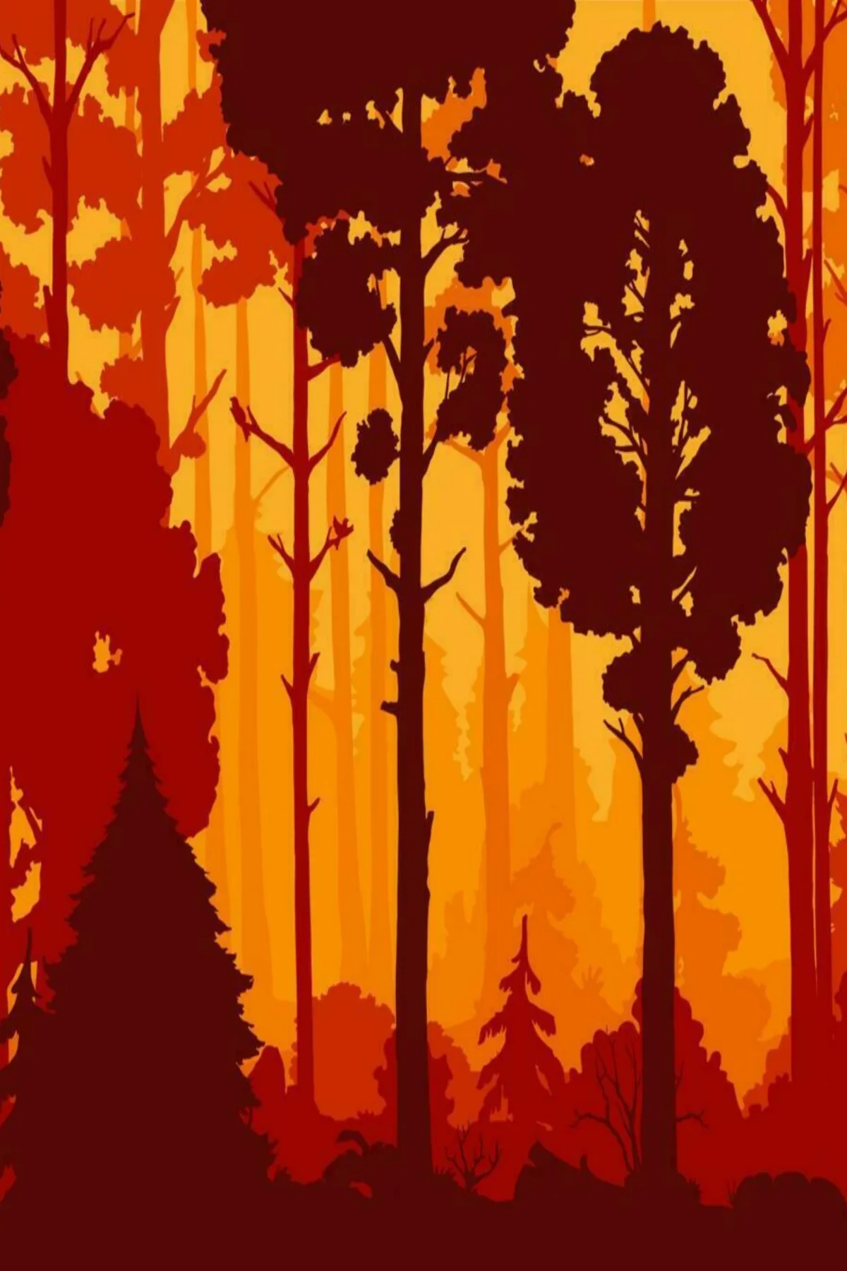 Amber Forest Silhouette — art print