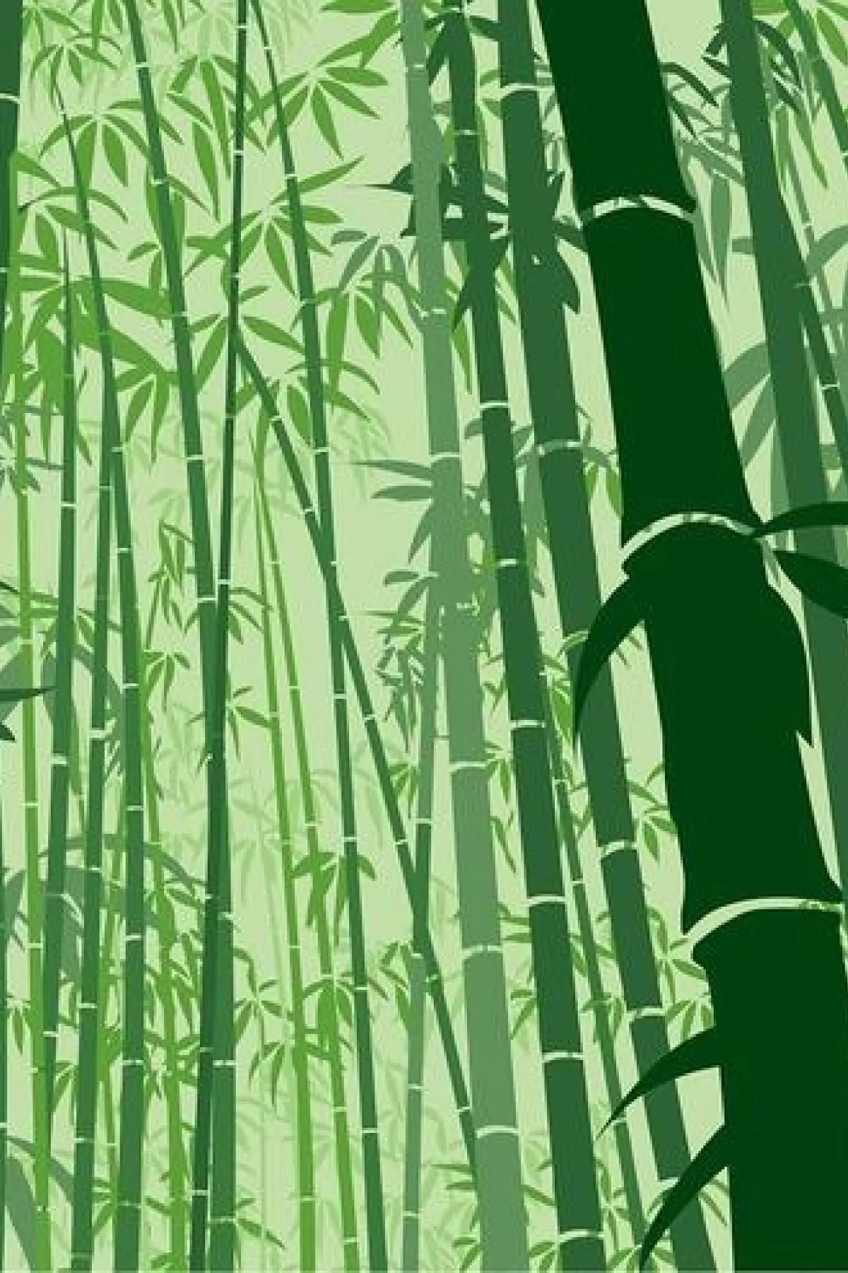 Bamboo Forest — art print